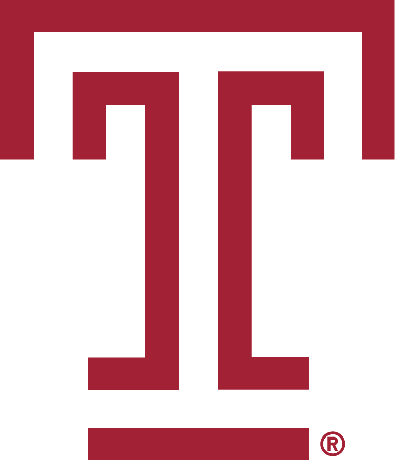 Temple Owls 2020-Pres Primary Logo diy DTF decal sticker